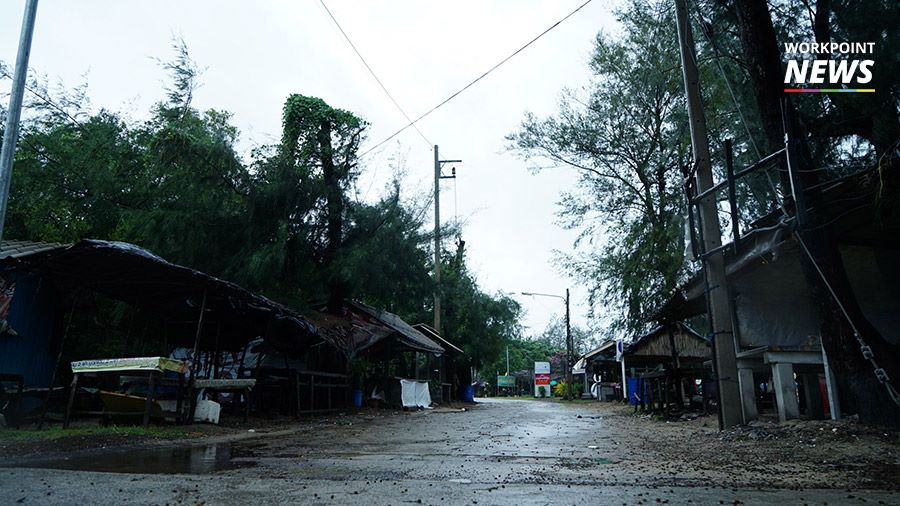 พายุปาบึก พายุปาบึก