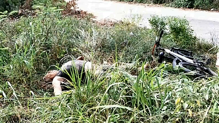 ช้างทับคน ช้างทับคน