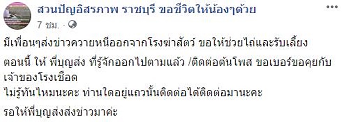 คลิปน้องควาย 6 ตัว คลิปน้องควาย 6 ตัว