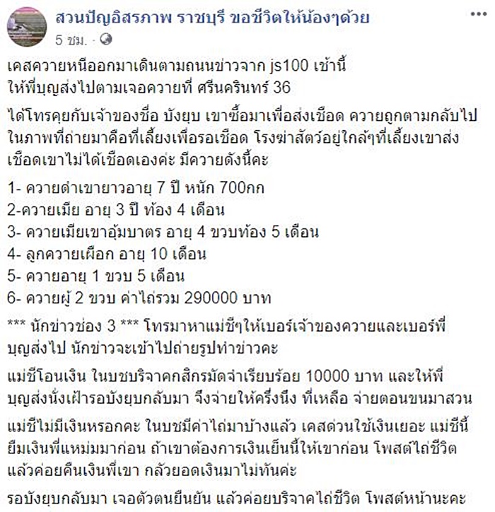 คลิปน้องควาย 6 ตัว คลิปน้องควาย 6 ตัว