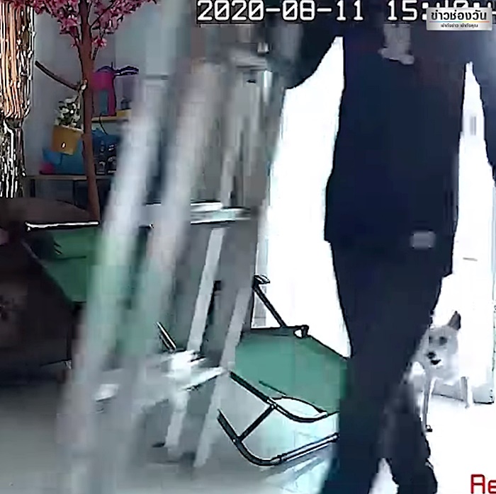 ฆาตกรฆ่าสาวสวยคาบ้านหรู ฆาตกรฆ่าสาวสวยคาบ้านหรู