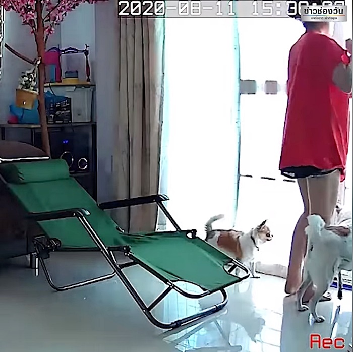 ฆาตกรฆ่าสาวสวยคาบ้านหรู ฆาตกรฆ่าสาวสวยคาบ้านหรู