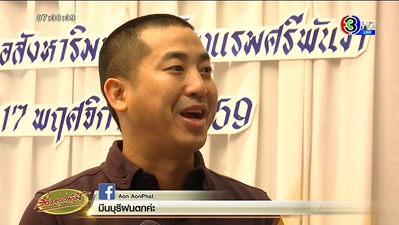 ปลาวาฬ ปลาวาฬ