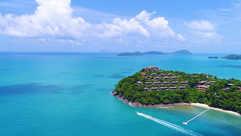 ปลาวาฬ ปลาวาฬ