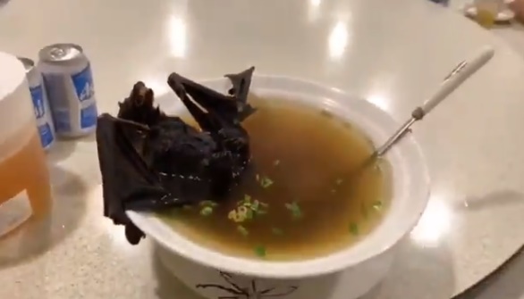 ไวรัสโคโรนา ไวรัสโคโรนา