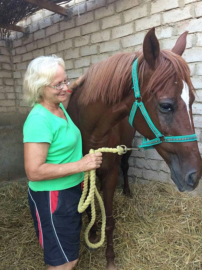 หมาจรจัด หมาจรจัด