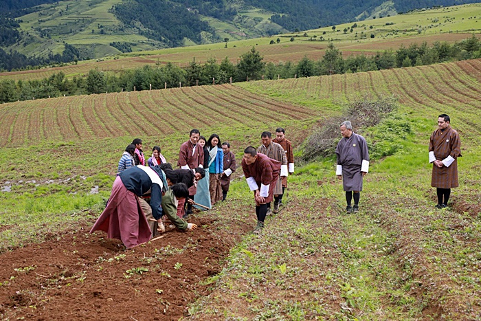 กษัตริย์จิกมี กษัตริย์จิกมี