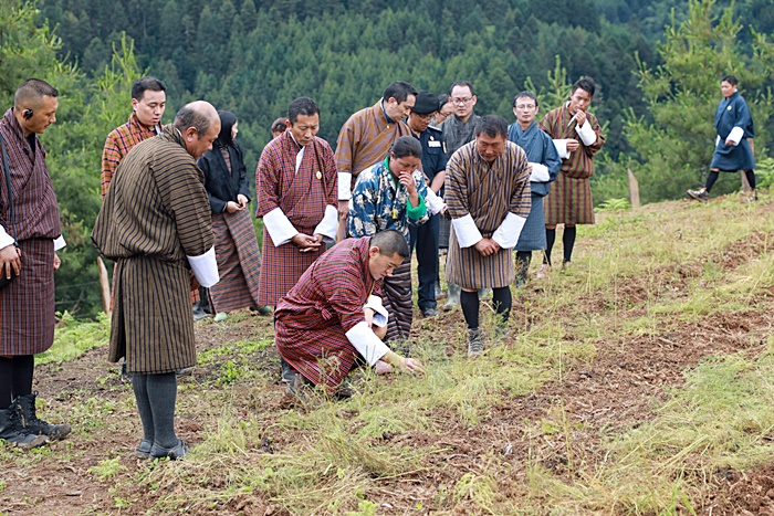 กษัตริย์จิกมี กษัตริย์จิกมี