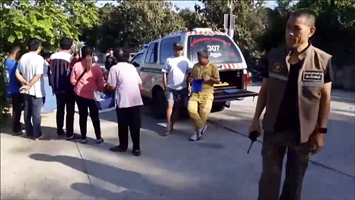 หมาตัดหน้า หมาตัดหน้า