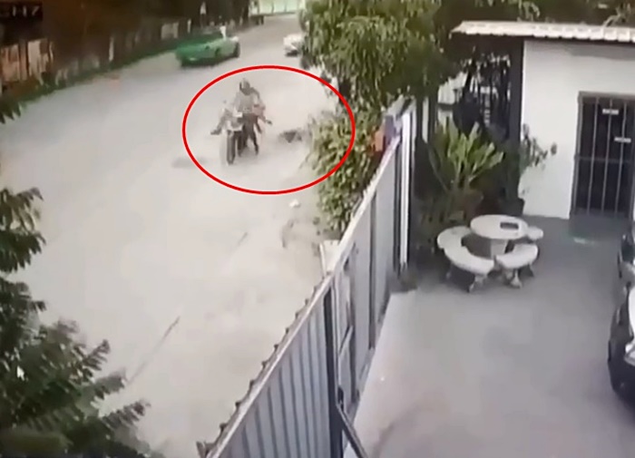 หมาตัดหน้า หมาตัดหน้า