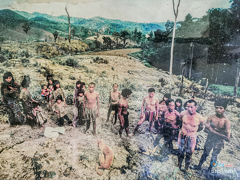 ผีตองเหลือง ผีตองเหลือง