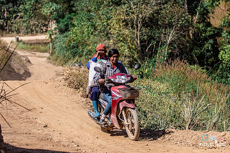 ผีตองเหลือง ผีตองเหลือง