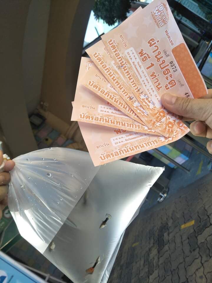 สวนสนุกมีโปรพาสัตว์เล็กเข้าฟรี สวนสนุกมีโปรพาสัตว์เล็กเข้าฟรี