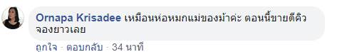 ม้า อรนภา ม้า อรนภา