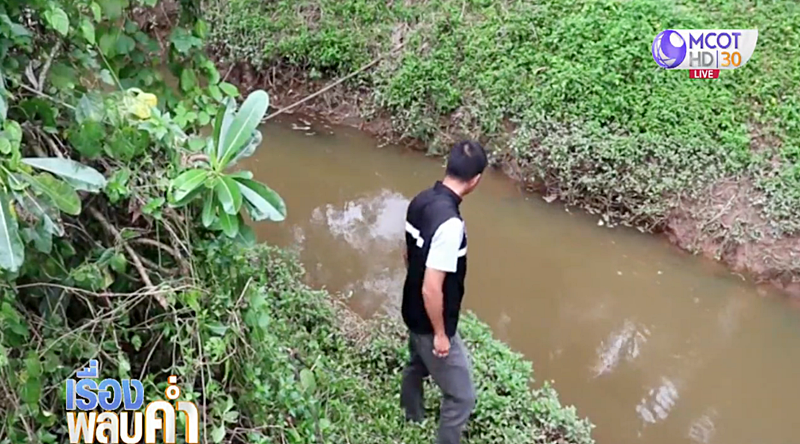 จระเข้งับ จระเข้งับ