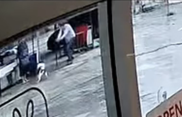 ฆ่าน้องหมา ฆ่าน้องหมา