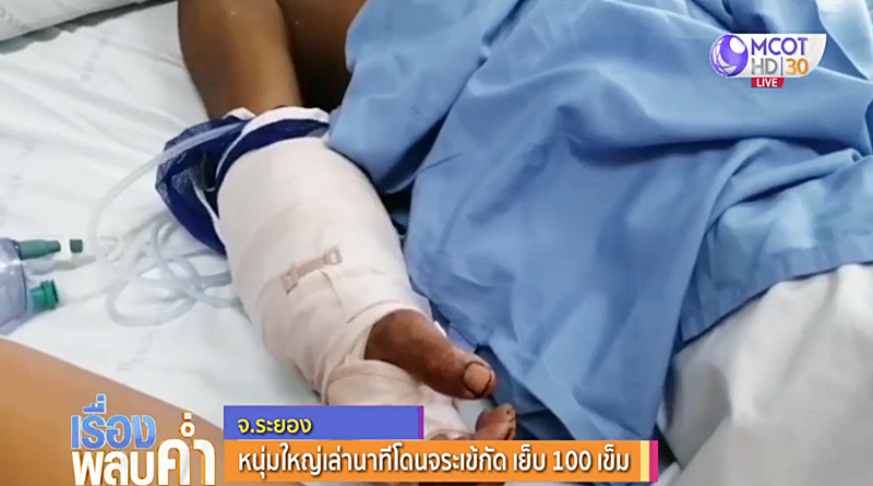 จระเข้งับ จระเข้งับ