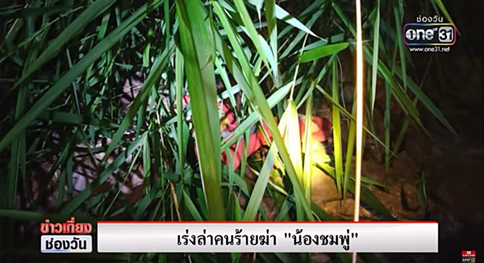 ข่าวฆ่าข่มขืนเด็ก ข่าวฆ่าข่มขืนเด็ก