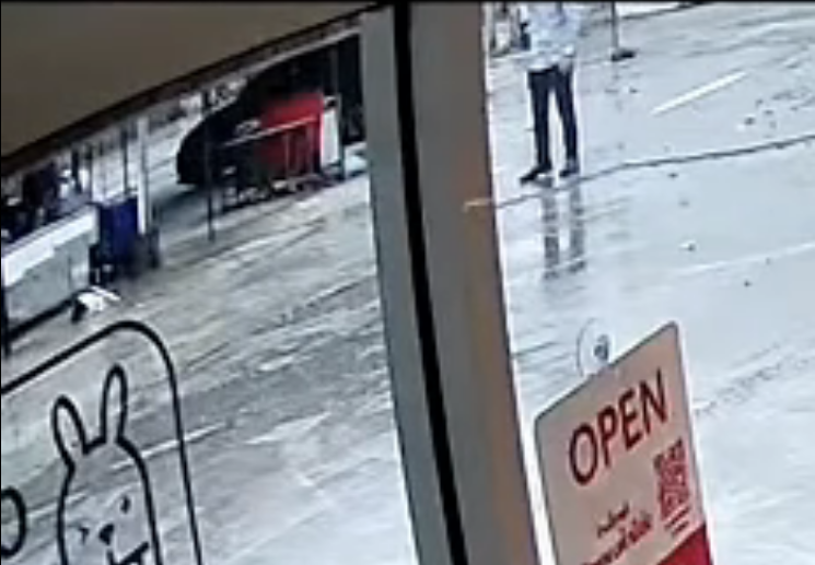 ฆ่าน้องหมา ฆ่าน้องหมา