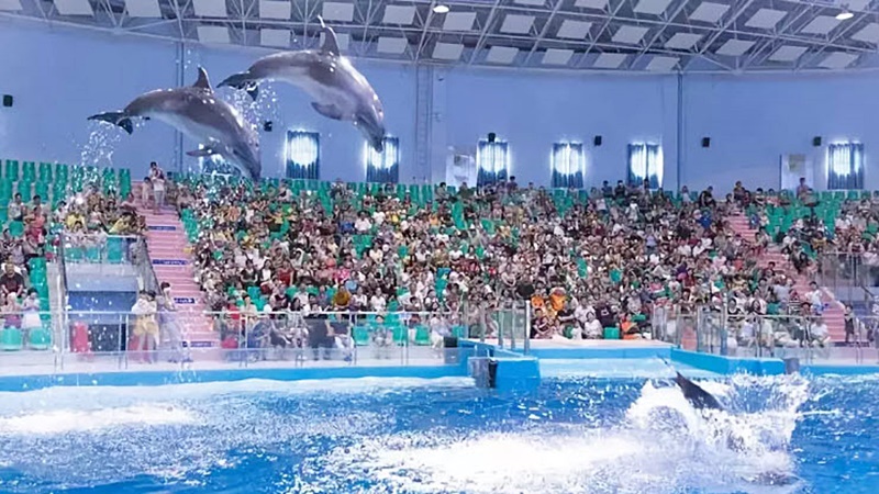 ทารุณสัตว์ ทารุณสัตว์