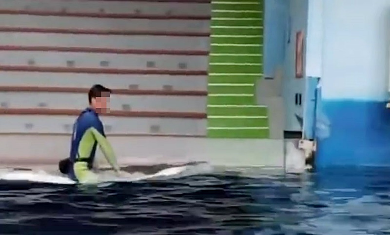 ทารุณสัตว์ ทารุณสัตว์