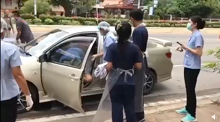 คลอดลูกคาด่านโควิด 19 คลอดลูกคาด่านโควิด 19