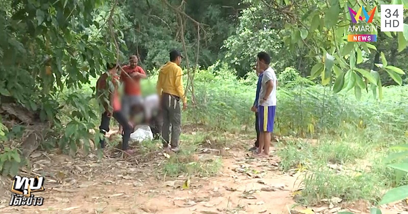 คดีน้องชมพู่ คดีน้องชมพู่