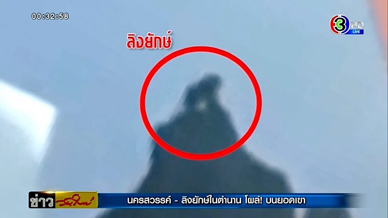 ลิงยักษ์ ลิงยักษ์