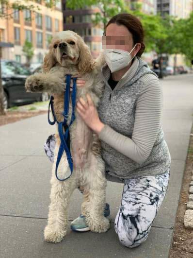 เหยียดสีผิว เหยียดสีผิว