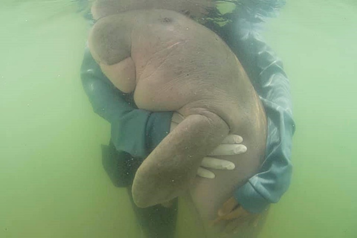 มาเรียม มาเรียม