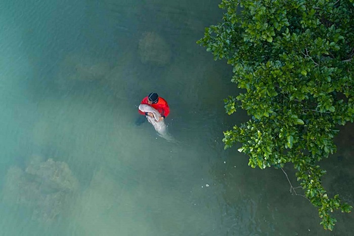 มาเรียม มาเรียม