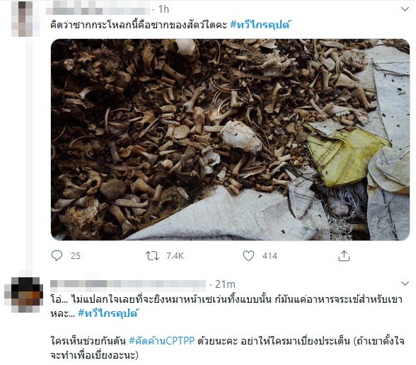 ซากสัตว์ ซากสัตว์