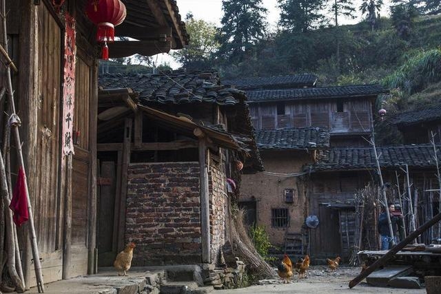 หมูบ้านไร้ยุง หมูบ้านไร้ยุง