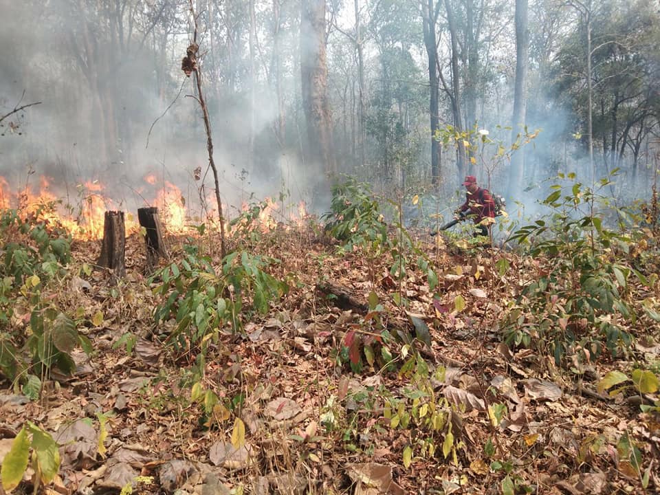 ไฟป่า ไฟป่า