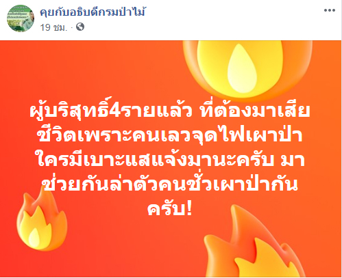 ไฟป่า ไฟป่า