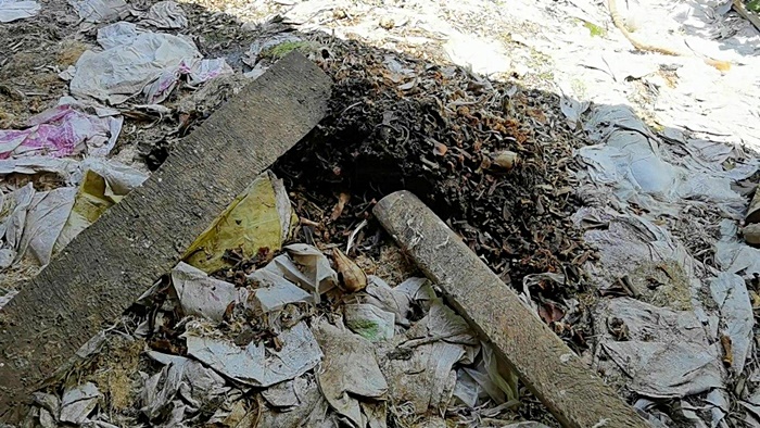 ซากสัตว์ ซากสัตว์