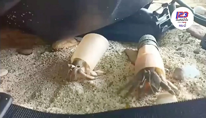 ปูเสฉวน ปูเสฉวน