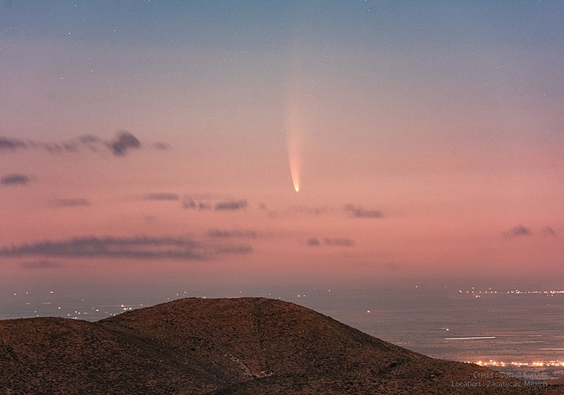 ดาวหางนีโอไวส์ ดาวหางนีโอไวส์