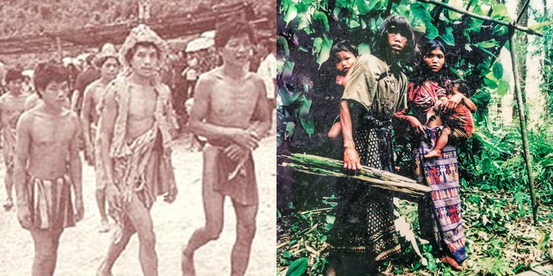 ผีตองเหลือง คืออะไร ? ผีตองเหลือง คืออะไร ?