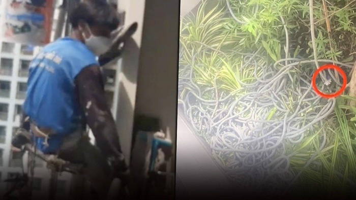 ตัดเชือกเพราะถูกคุกคาม ?? ตัดเชือกเพราะถูกคุกคาม ??