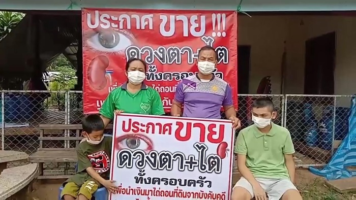 ขายไต ขายไต