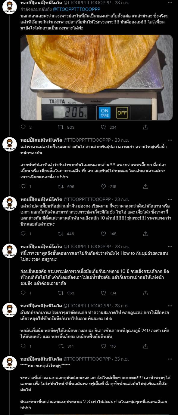 ขายกระเพาะปลา ขายกระเพาะปลา