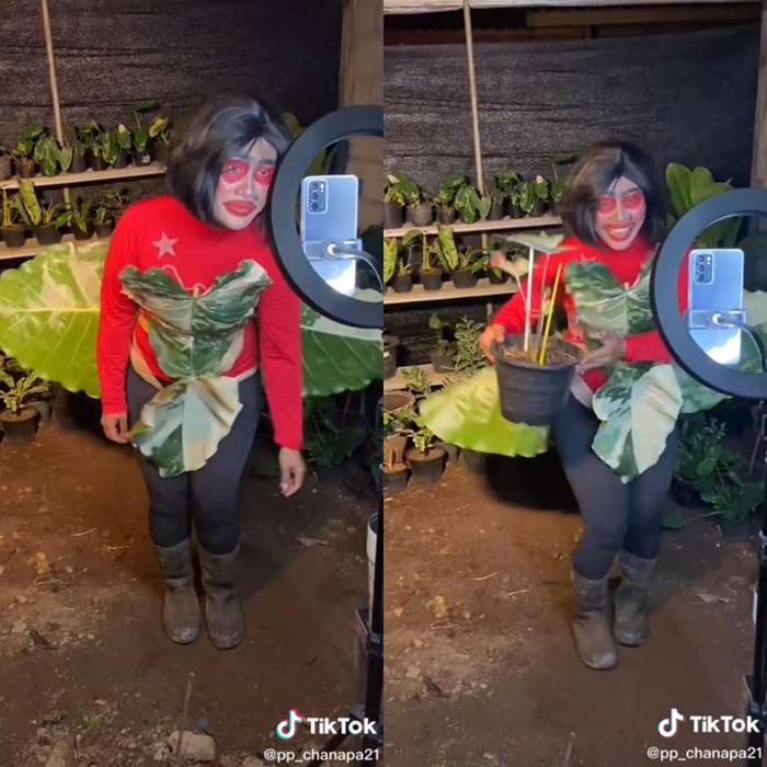 ไลฟ์ขายต้นไม้ ไลฟ์ขายต้นไม้