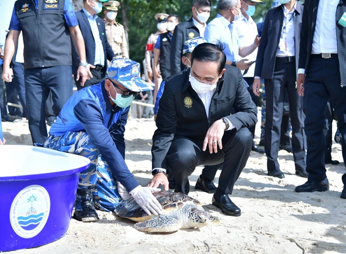 ชมวิวภูเก็ต Sandbox ชมวิวภูเก็ต Sandbox