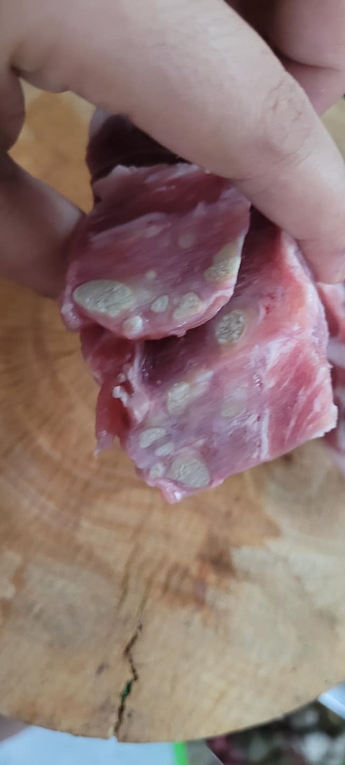 ฝีหนองหมู ฝีหนองหมู