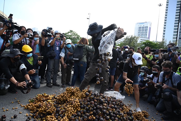 เผามังคุด - ลำไย ประท้วง เผามังคุด - ลำไย ประท้วง