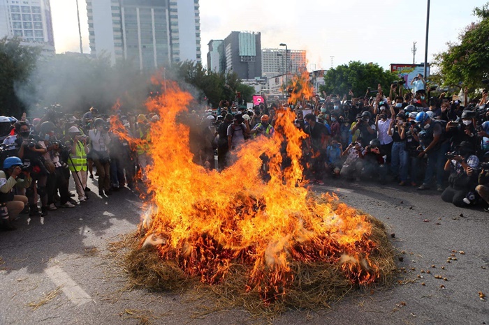 เผามังคุด - ลำไย ประท้วง เผามังคุด - ลำไย ประท้วง