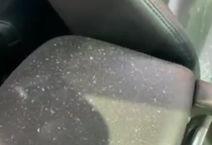 ปาหินใส่ ปาหินใส่