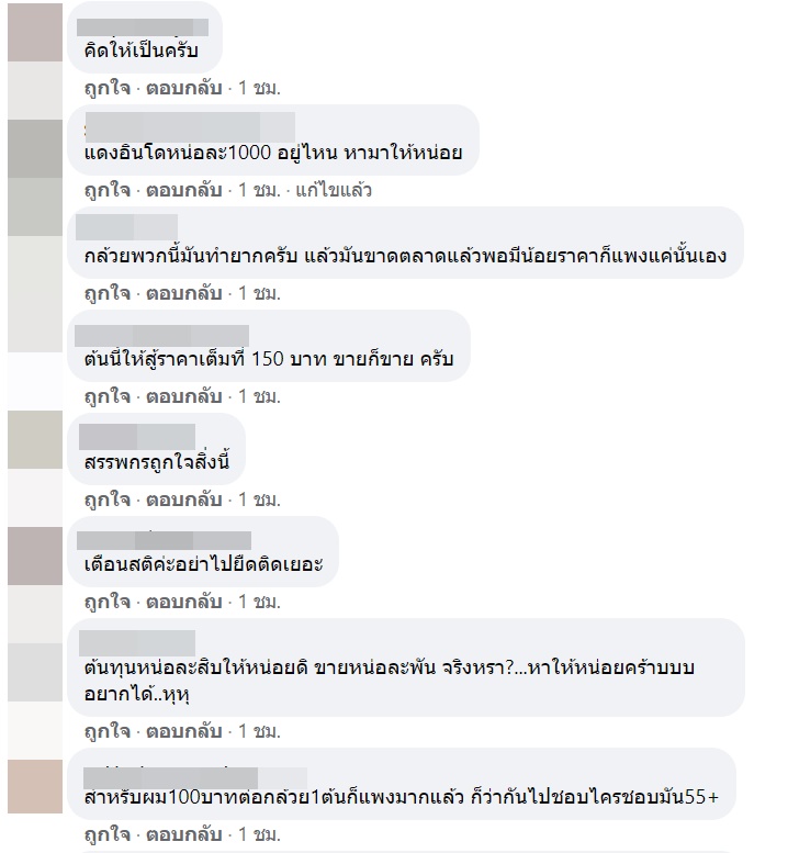 กล้วยด่าง กล้วยด่าง