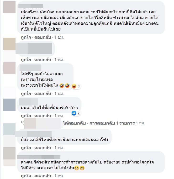 กล้วยด่าง กล้วยด่าง